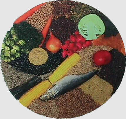 wpe8.jpg (25149 bytes)